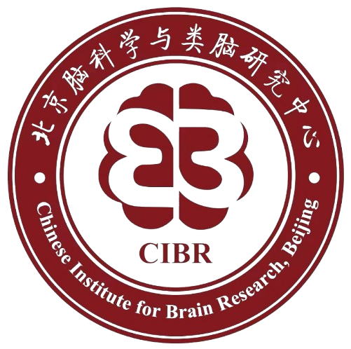 Workshop icon