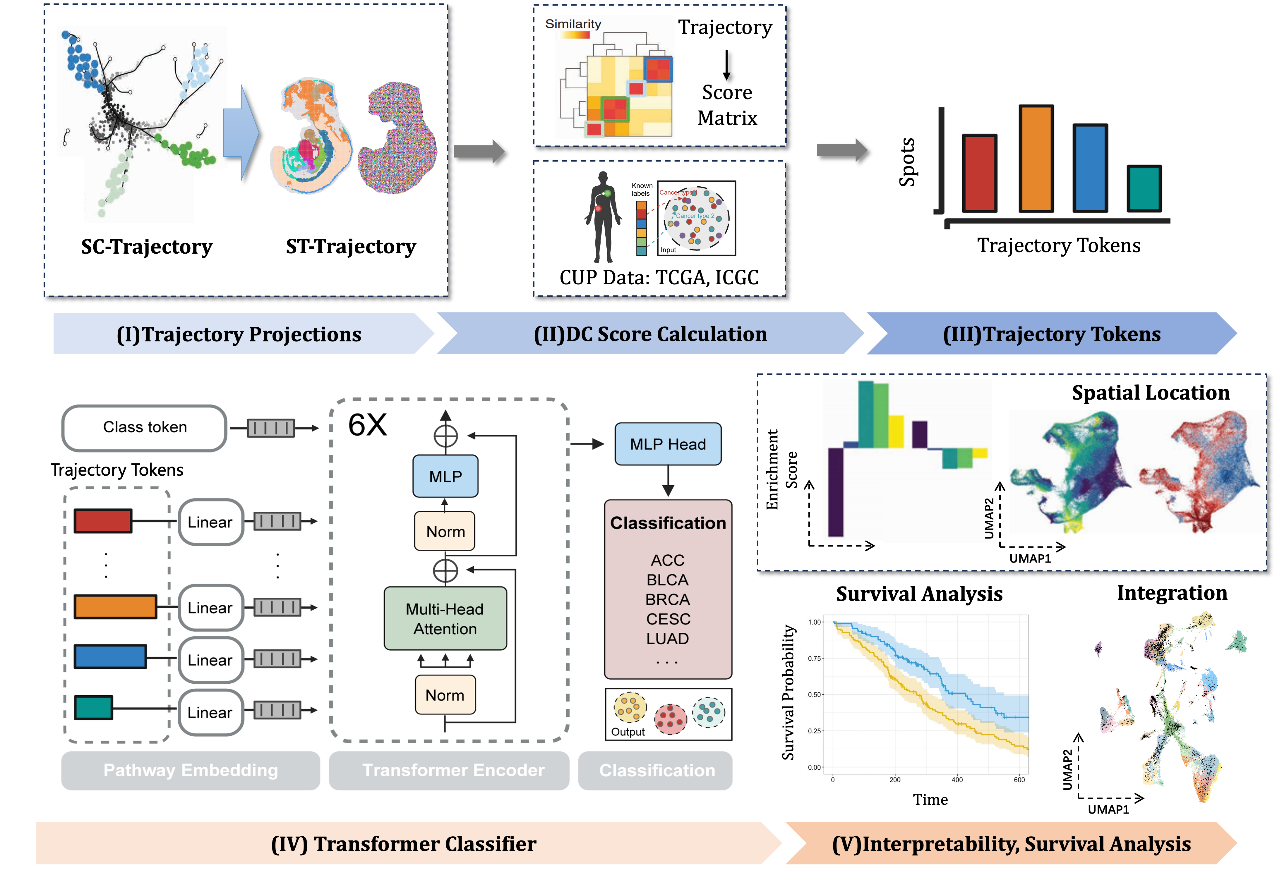 Cancer of unknown primary classification project figure