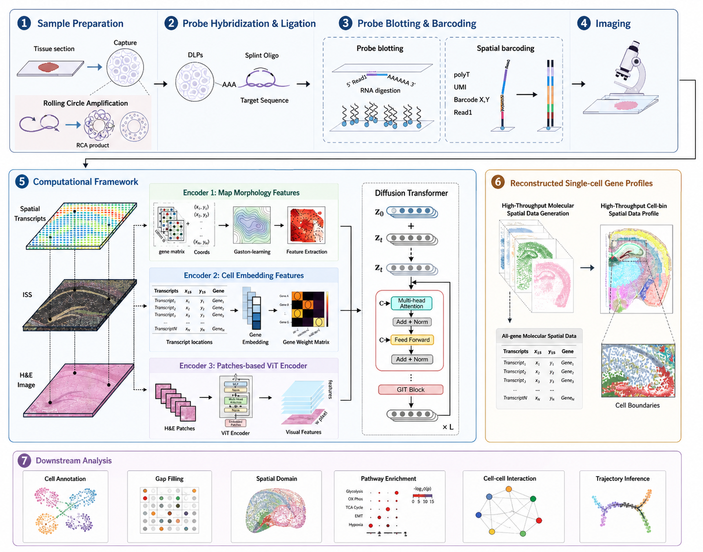SMART spatial omics project overview
