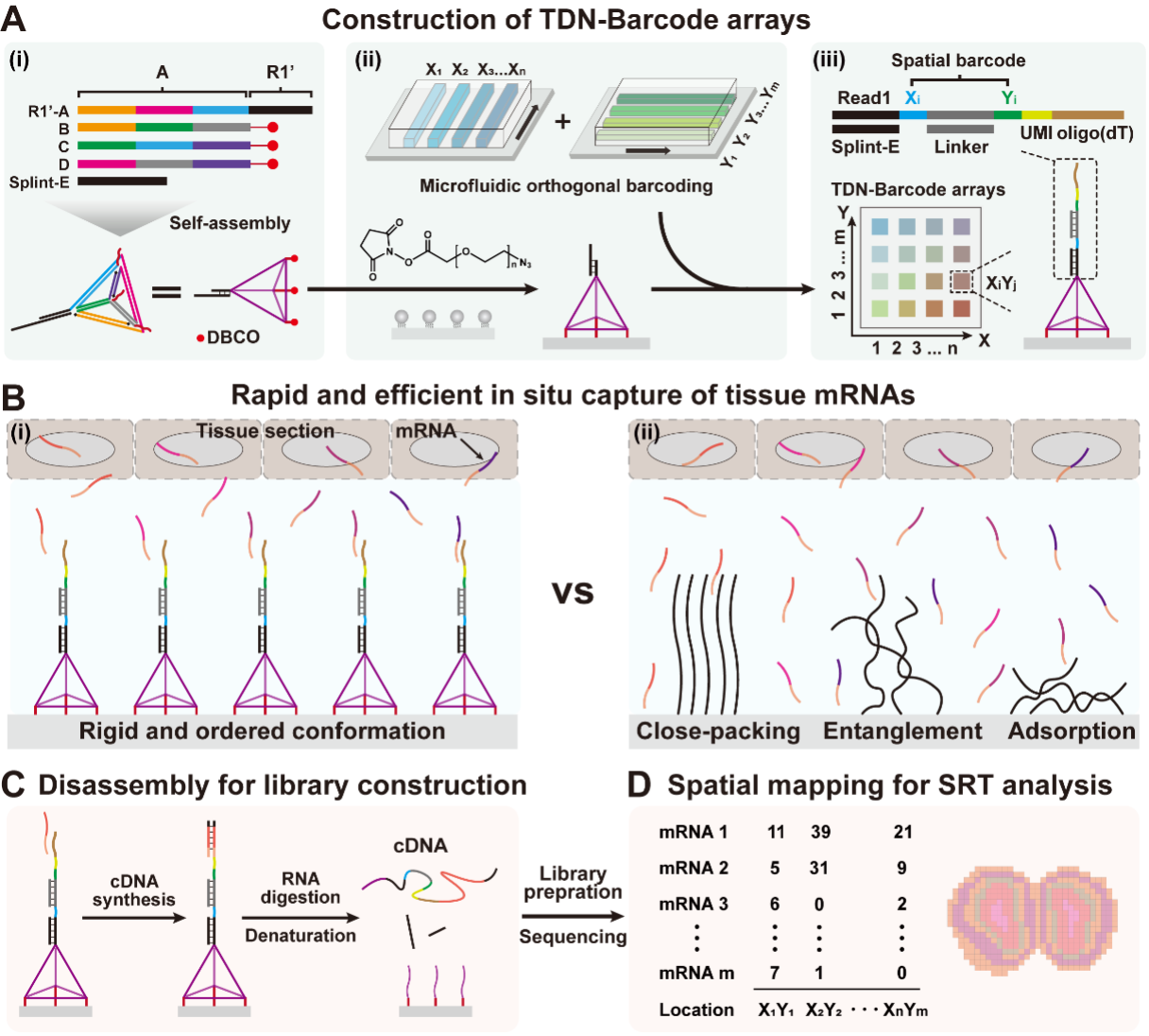 Talent-seq project figure