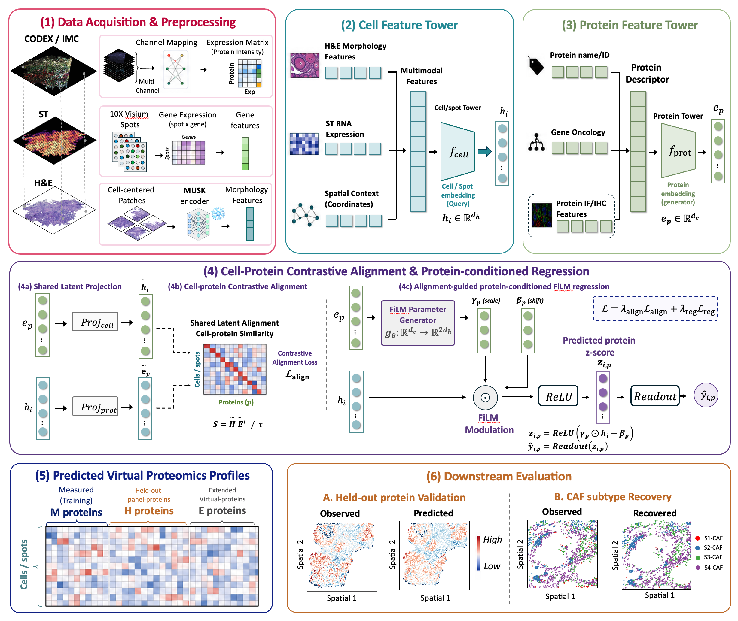 Virtual spatial proteomics workflow